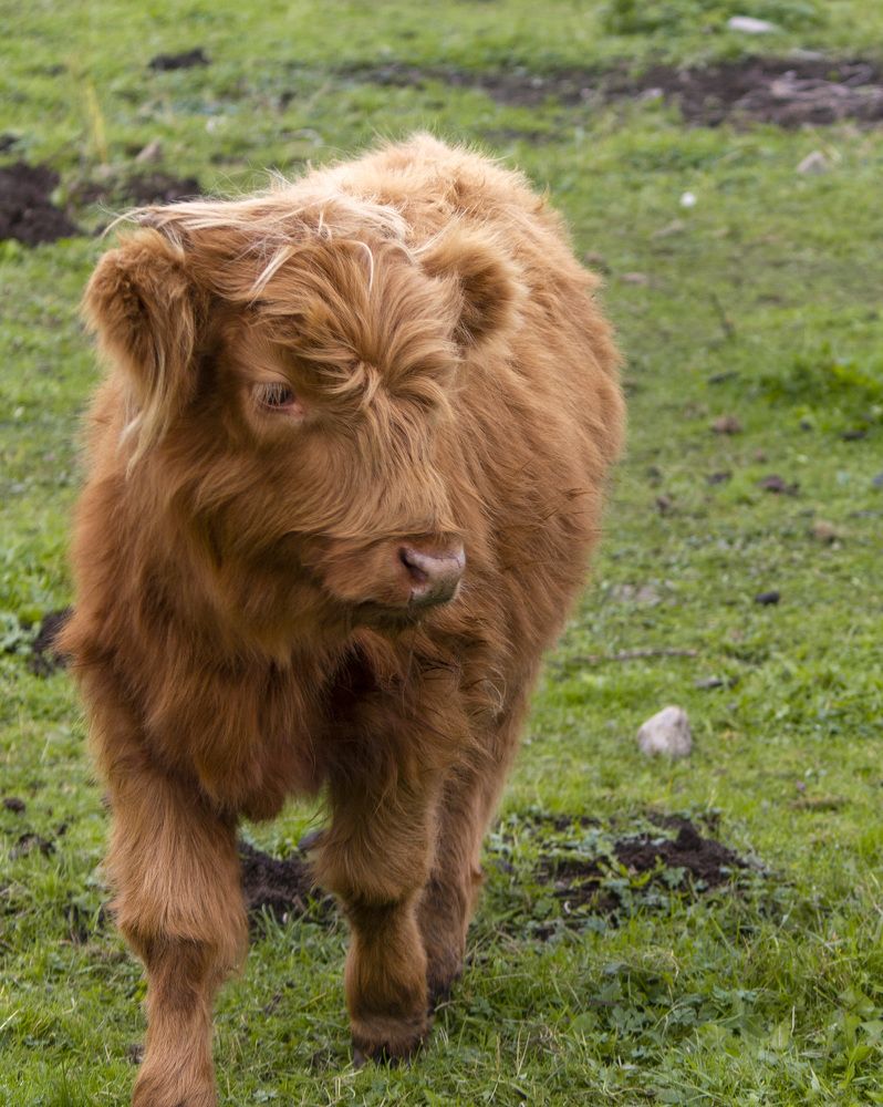 Photograph by Татьяна Раковская