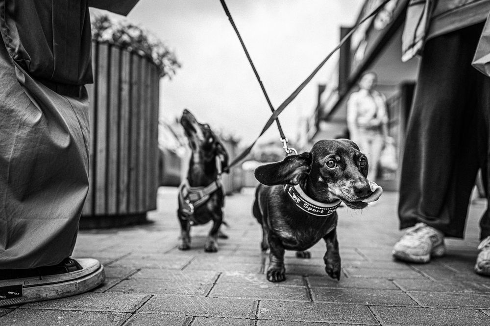 Photograph by Дмитрий