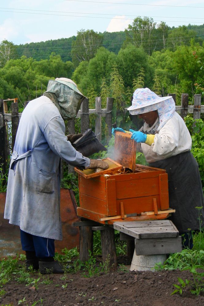 Photograph by Николай Осипенко