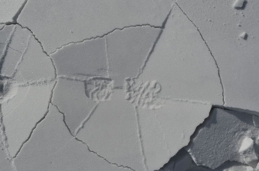 Photograph by Валерий Лапоног