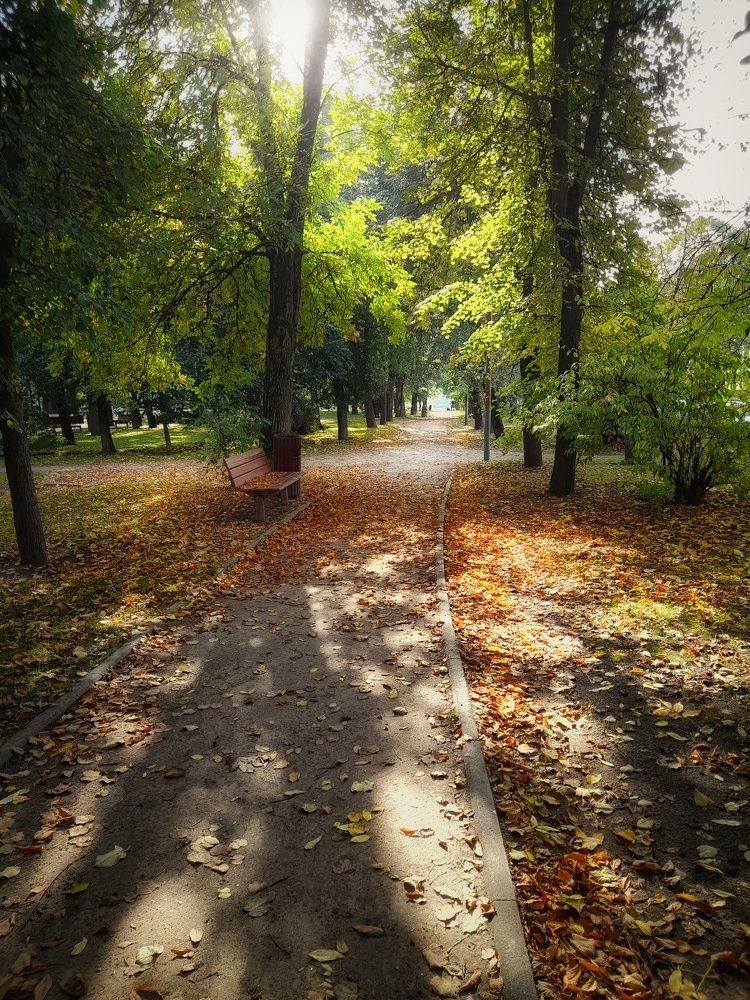 Photograph by Станислава