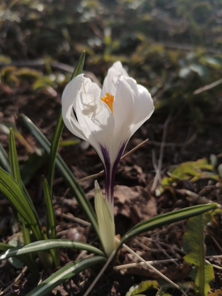 Фотография автора Анастасия Зверева