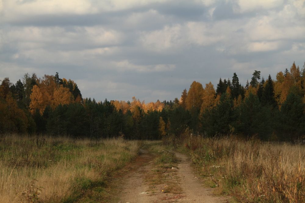 Фотография автора Анастасия Зверева