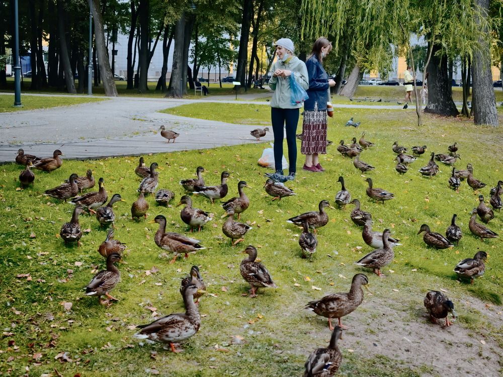 Photograph by Сильвестр