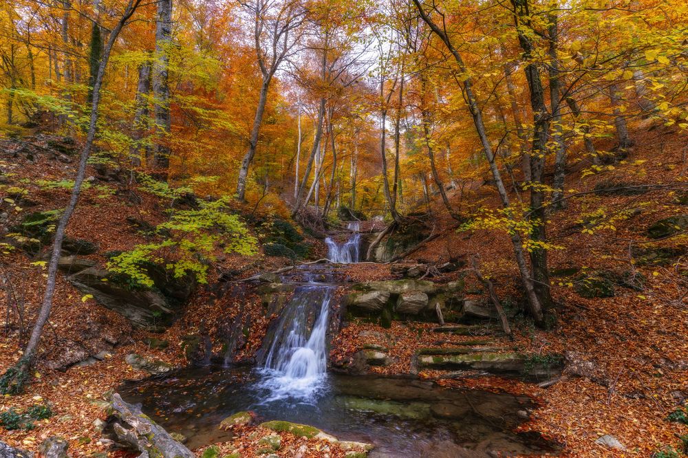 Photograph by Юлия Мальцева