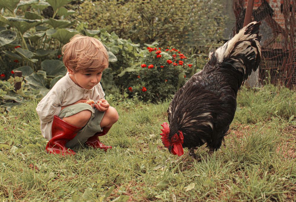 Фотография автора Aleksandra Choporova