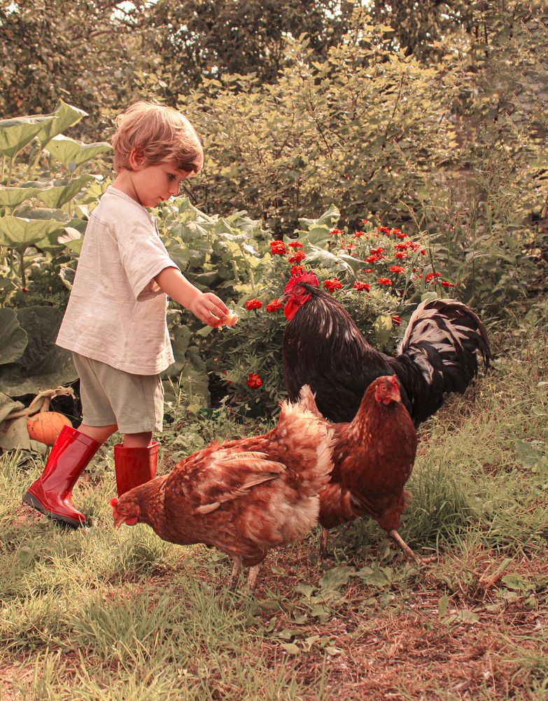 Фотография автора Aleksandra Choporova