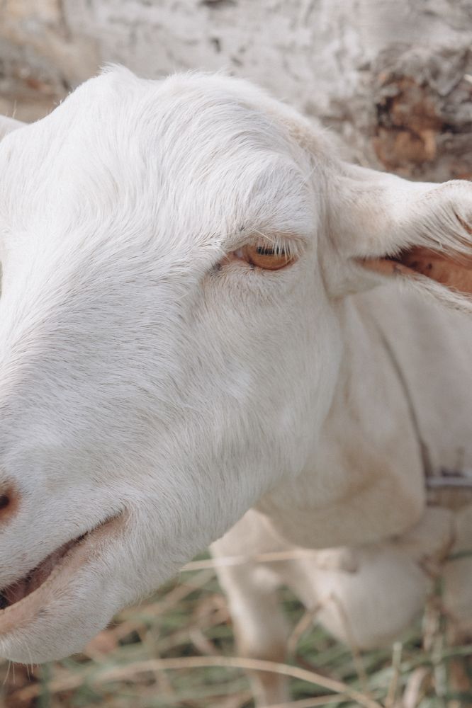 Photograph by Пивоварова Екатерина