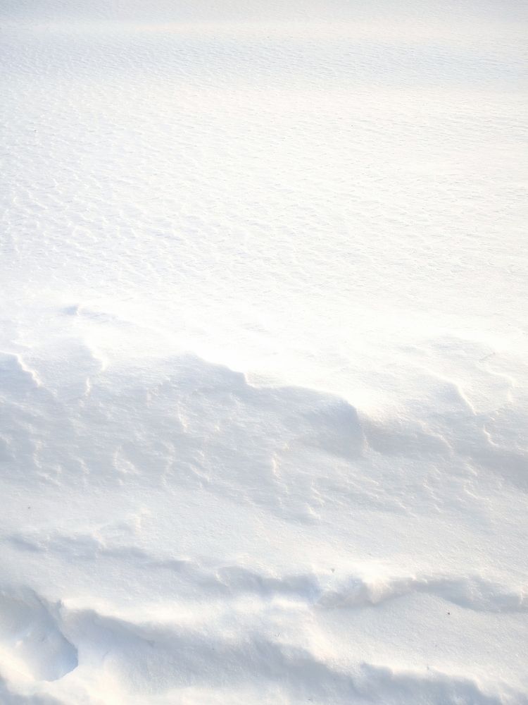 Photograph by Galina Novichkova