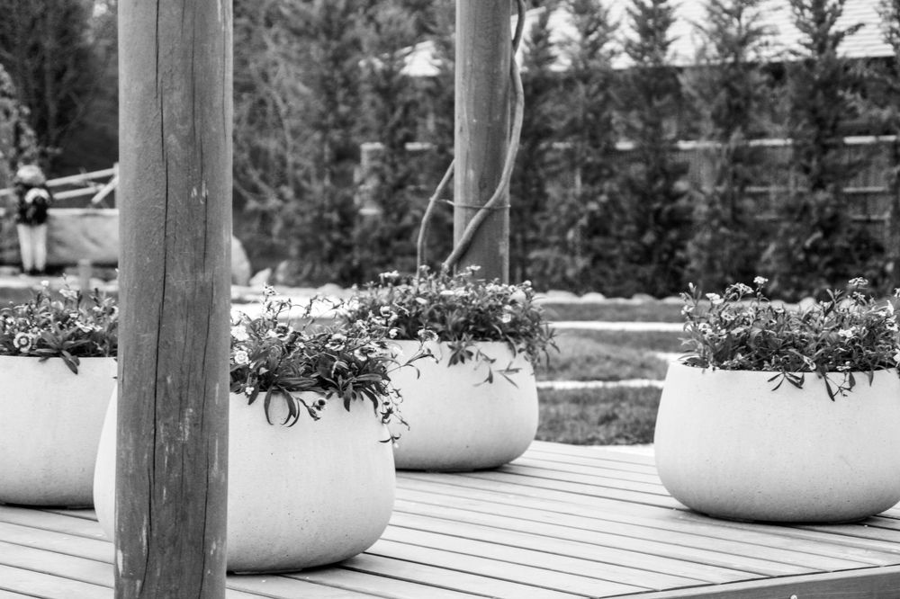 Photograph by INNA KHOMENKO