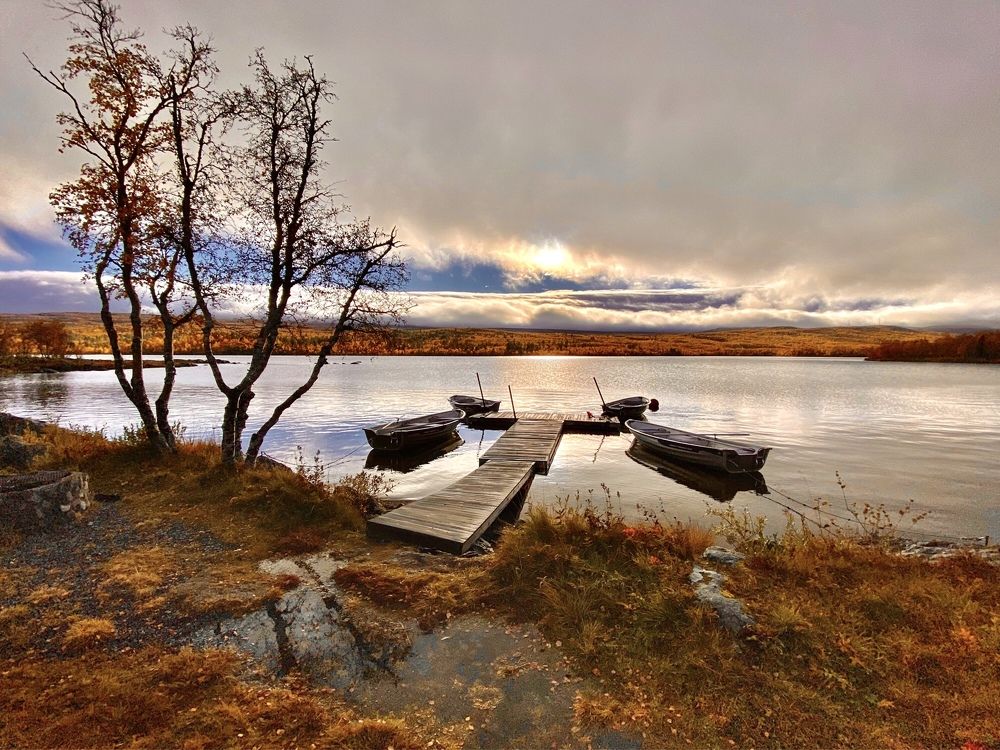 Photograph by Janina Segeda