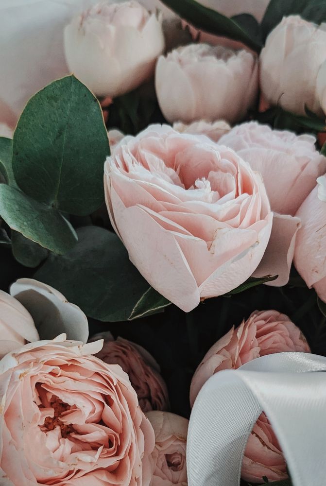 Photograph by Татьяна Никифорова