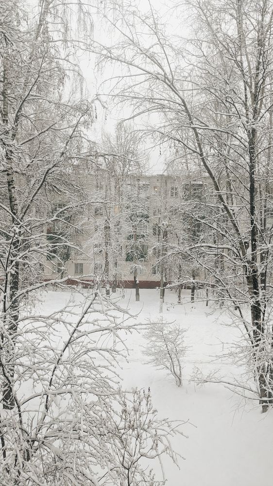 Photograph by Татьяна Никифорова