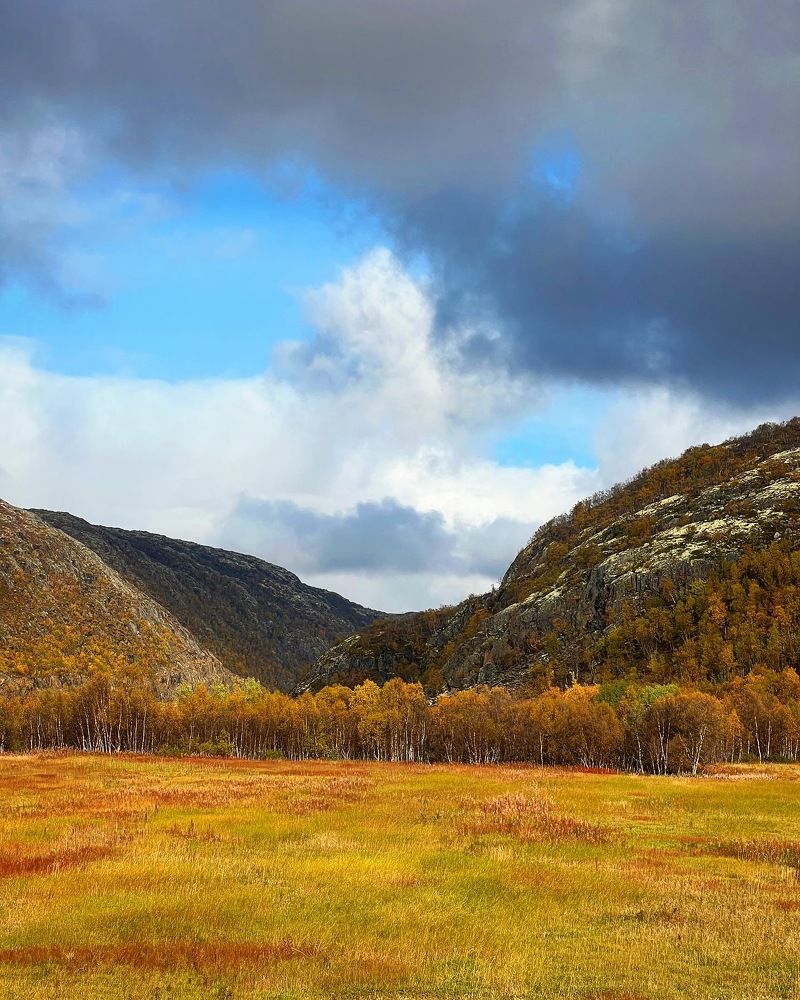 Photograph by Александра Акси