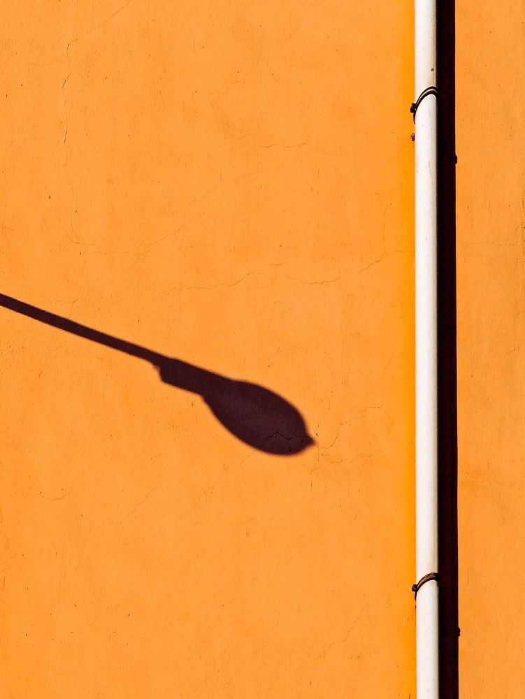 Фотография автора Hossam Konsowa