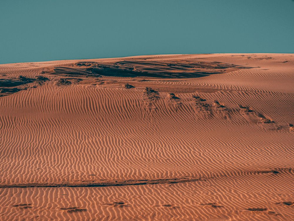 Photograph by Shannon