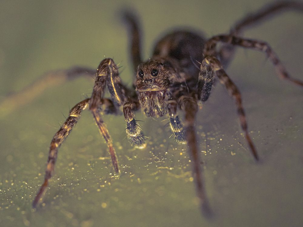 Photograph by Игорь Толкачев