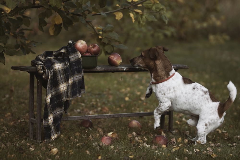 Photograph by Liliya Rodionova