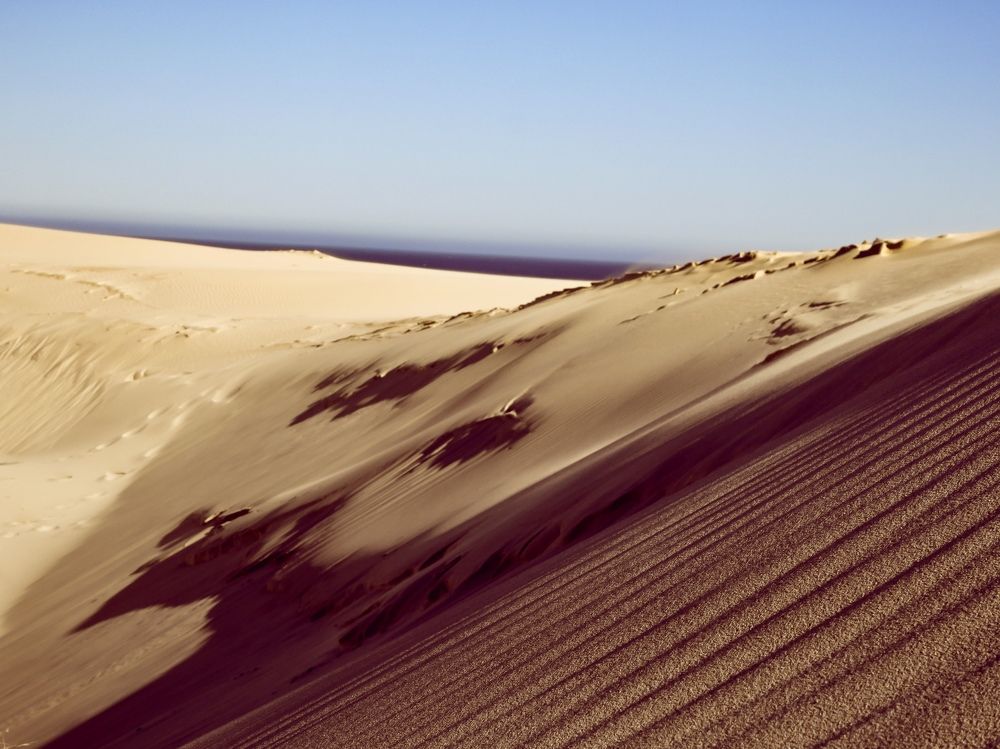 Photograph by Shannon