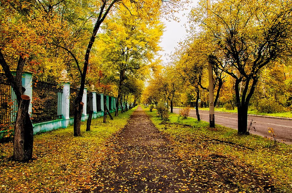 Photograph by Даниил Марков