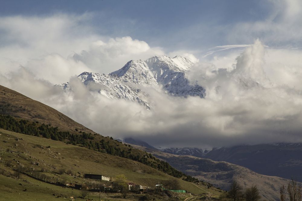 Фотография автора Елена Субботина