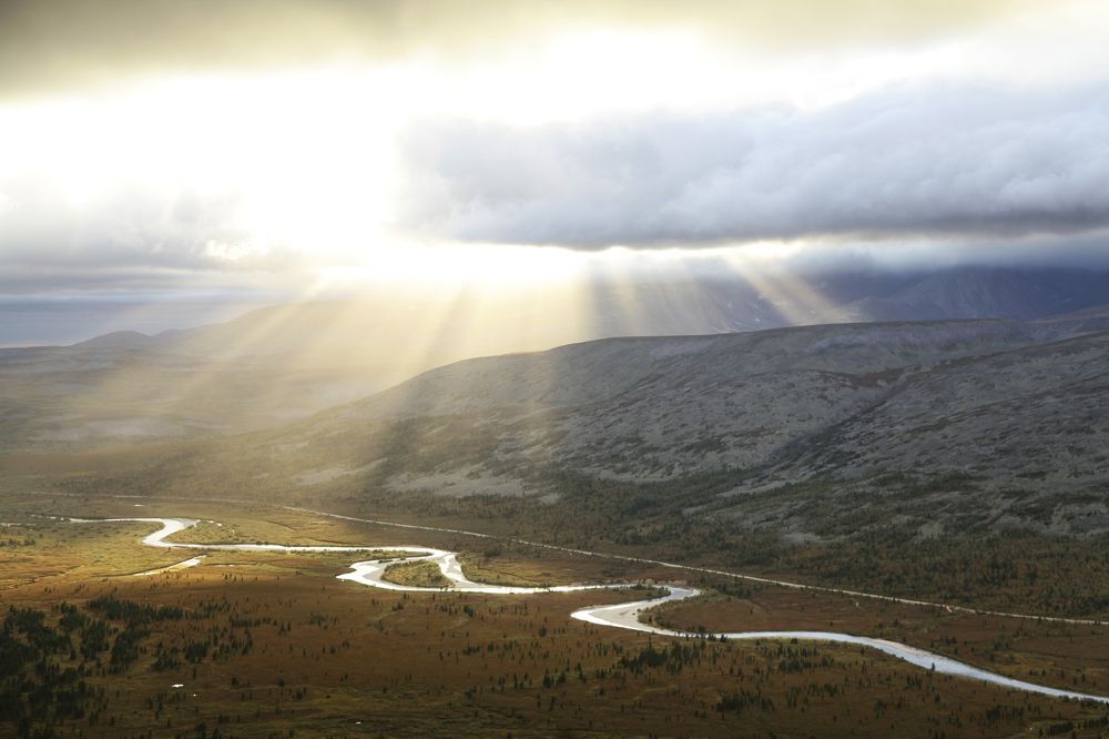 Фотография автора Елена Субботина