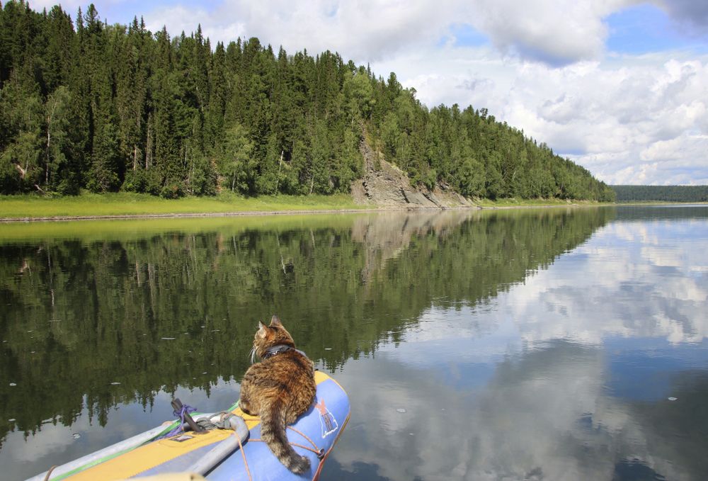 Photograph by Галина Ильясова