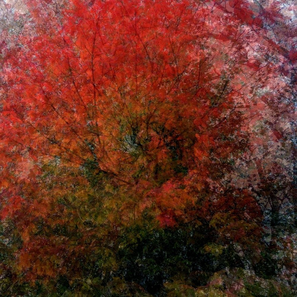 Photograph by Антон Лаба