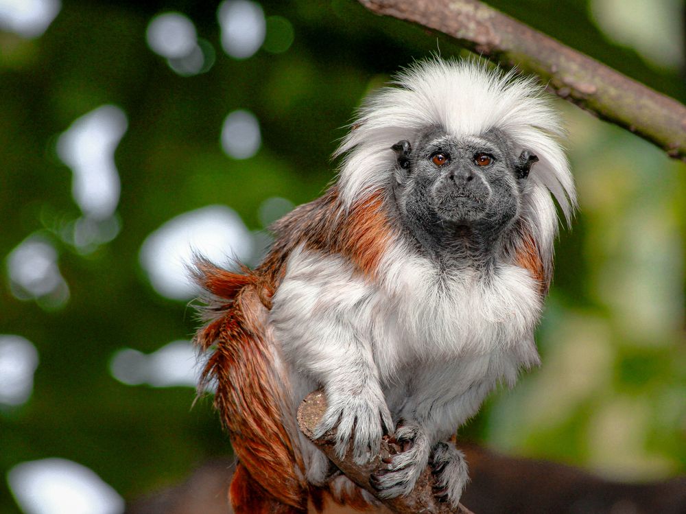 Photograph by Krishna Behera (KRUSHNA)