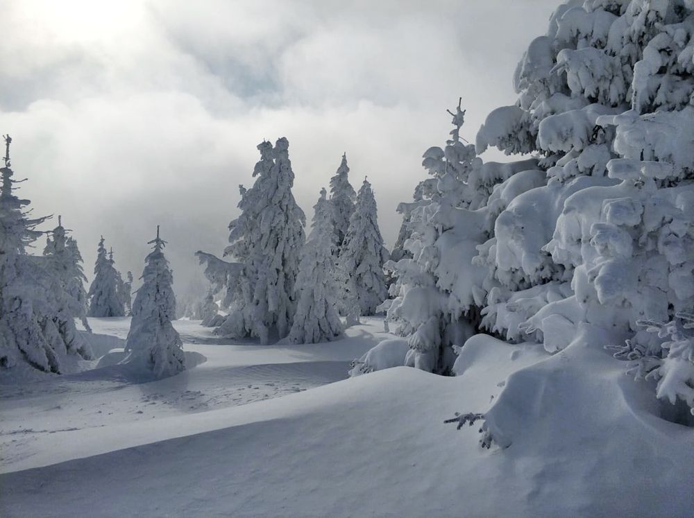 Photograph by Liliya Rodionova