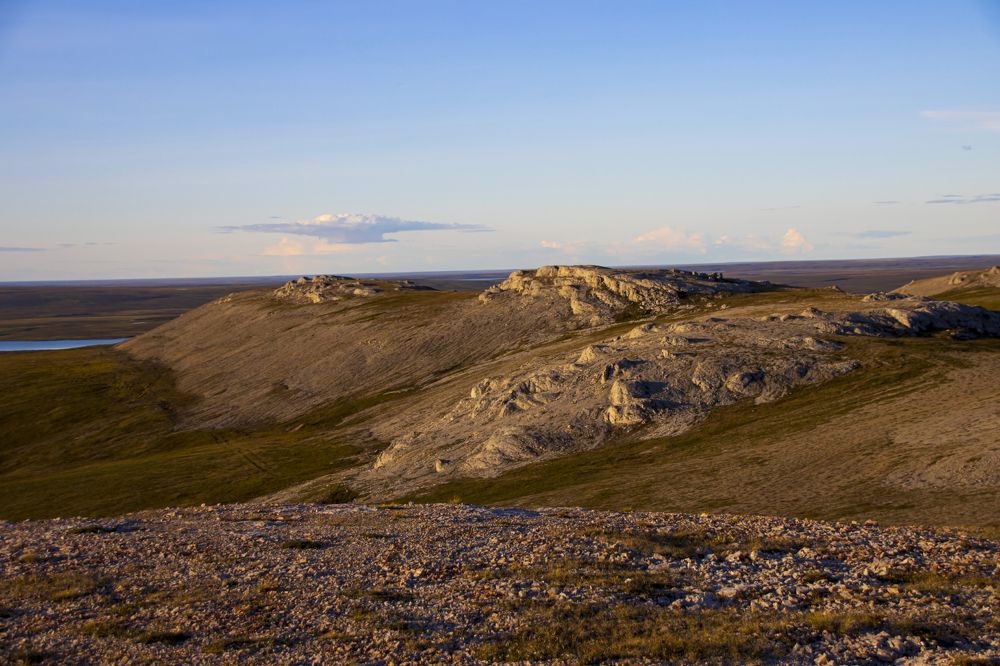 Photograph by Галина Ильясова