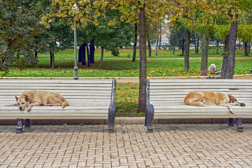 Photograph by Валерий