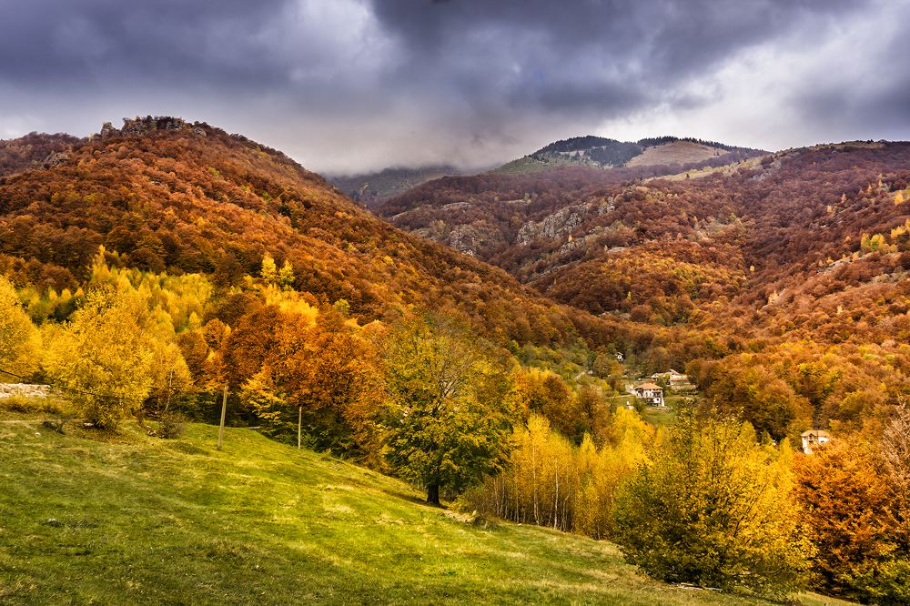 Фотография автора Milena Ivanova