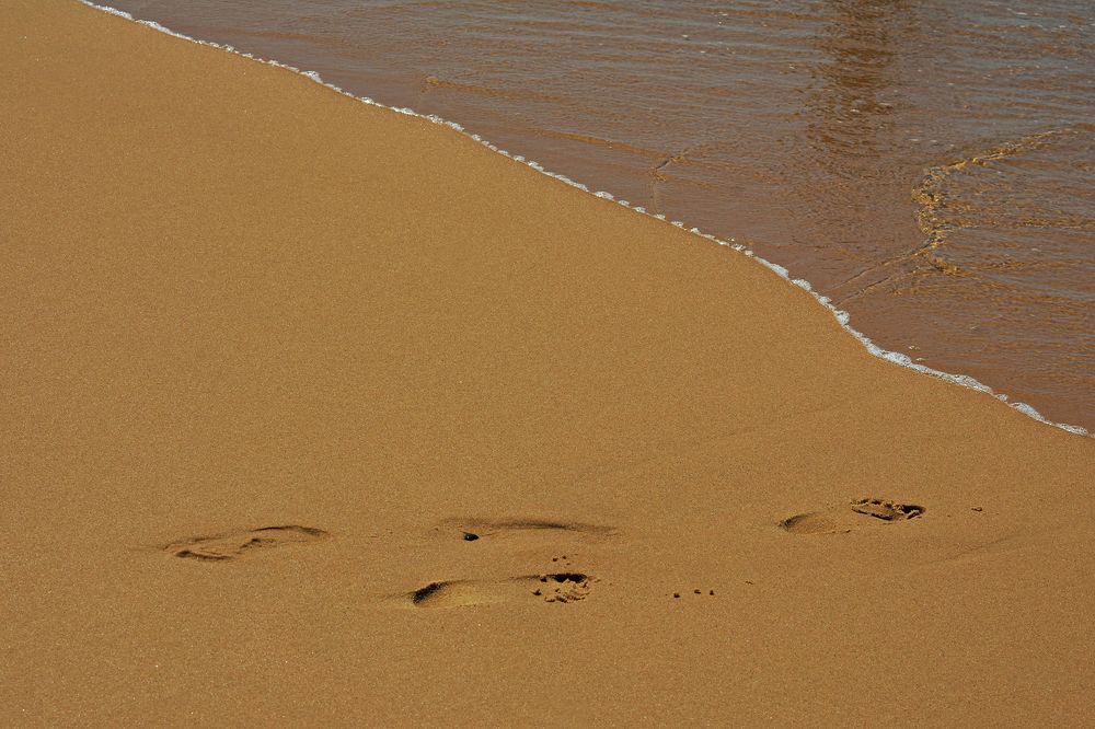 Photograph by Faten Aouini Ben Ahmad