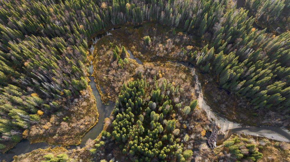 Photograph by Гончаренко Денис