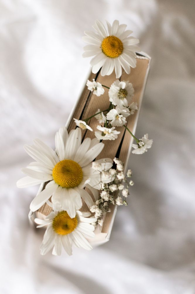 Photograph by Валерия Бойко