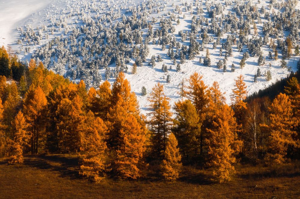 Photograph by Алексей Вымятнин