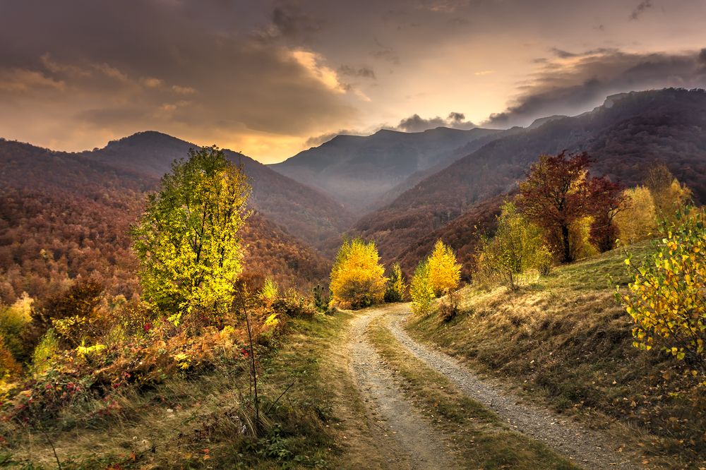 Фотография автора Milena Ivanova