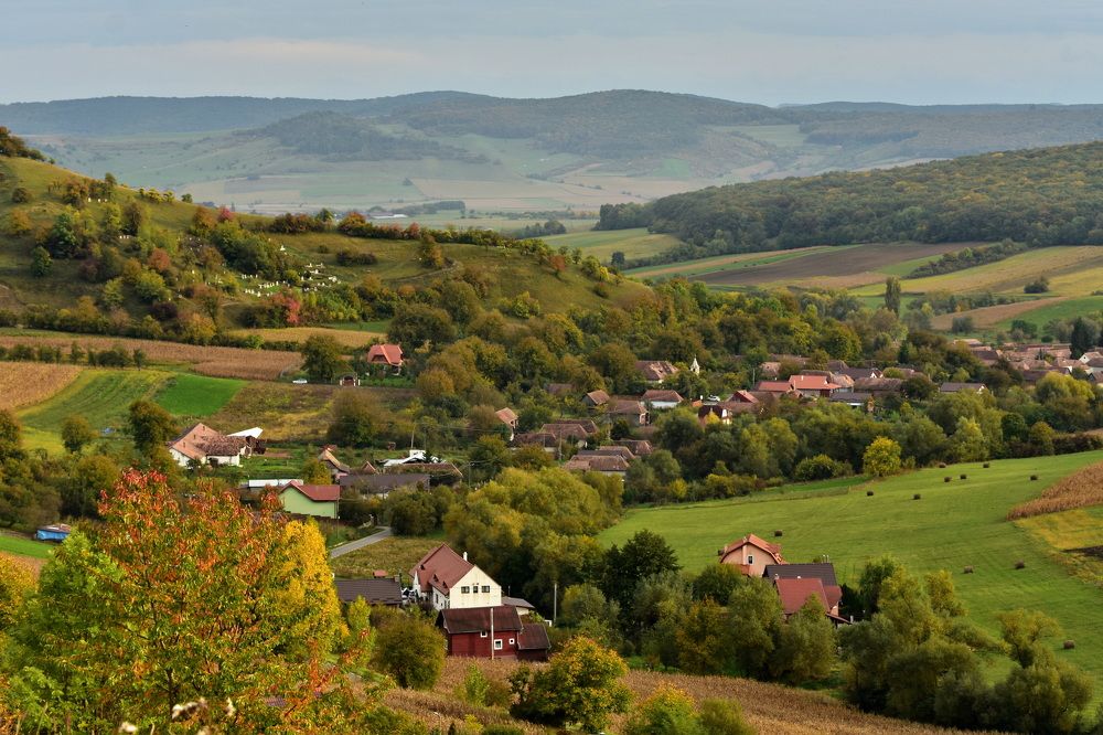 Фотография автора Marius Forgaciu