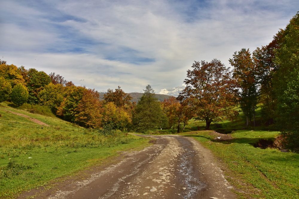 Фотография автора Marius Forgaciu