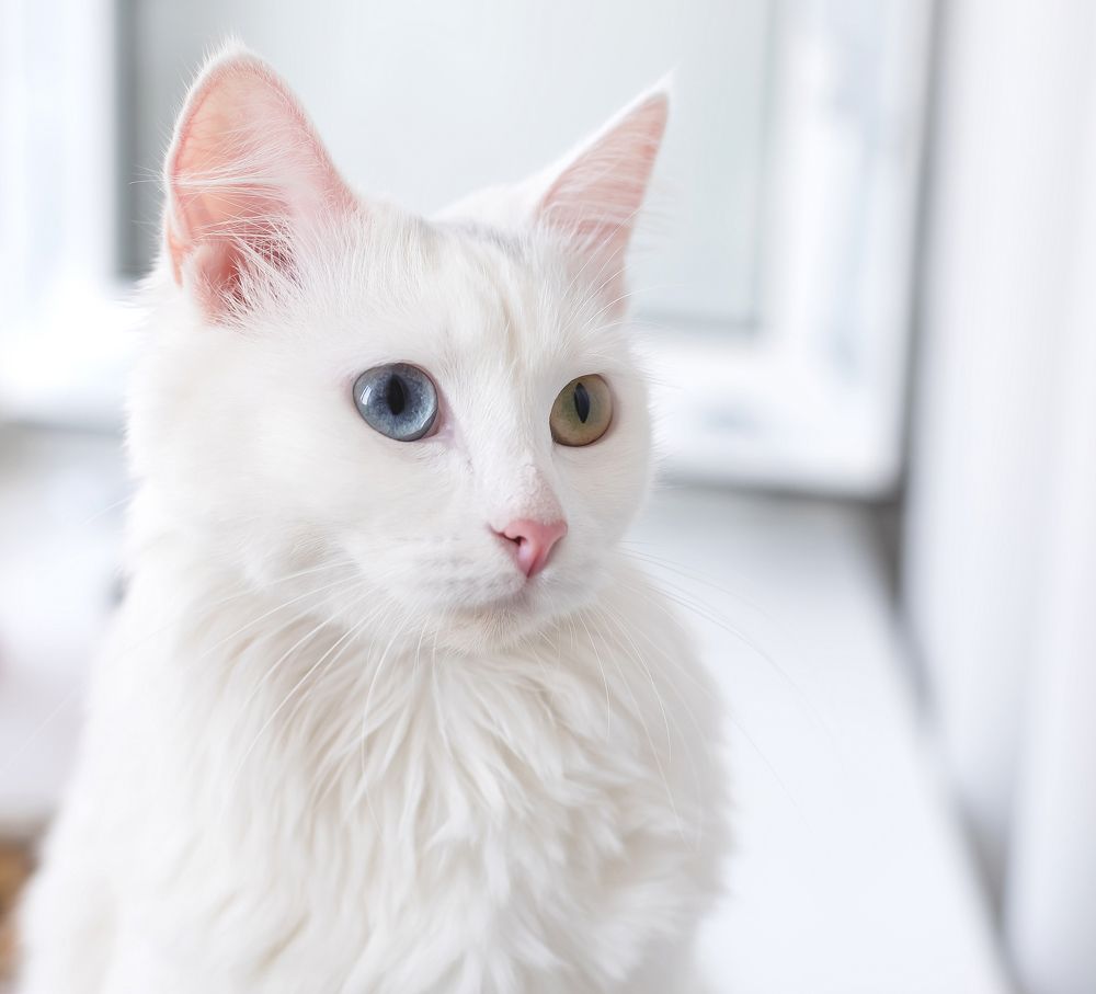 Photograph by Татьяна Гузева