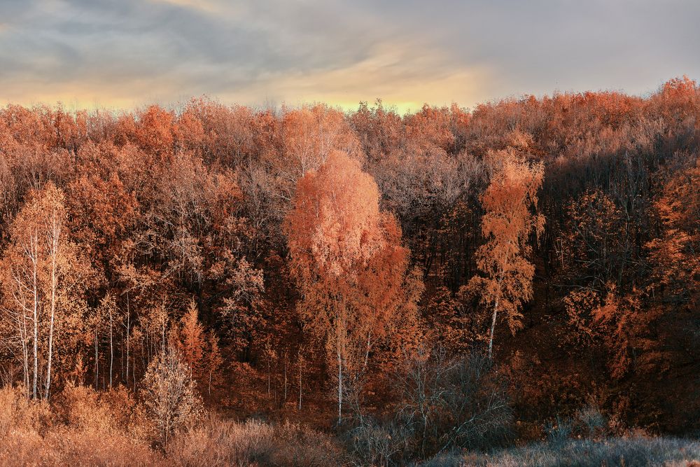 Photograph by Татьяна Биргулиева