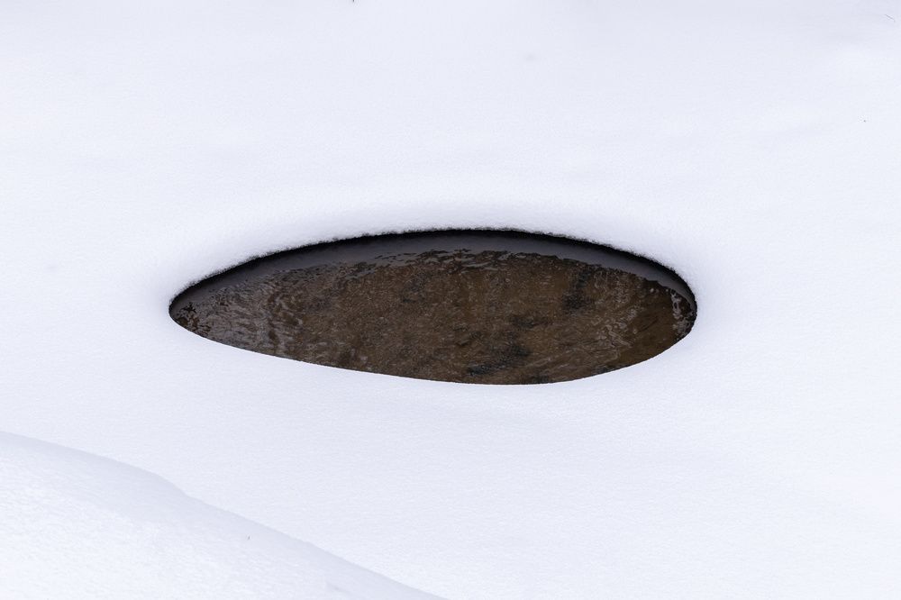 Photograph by Валерий Петухов