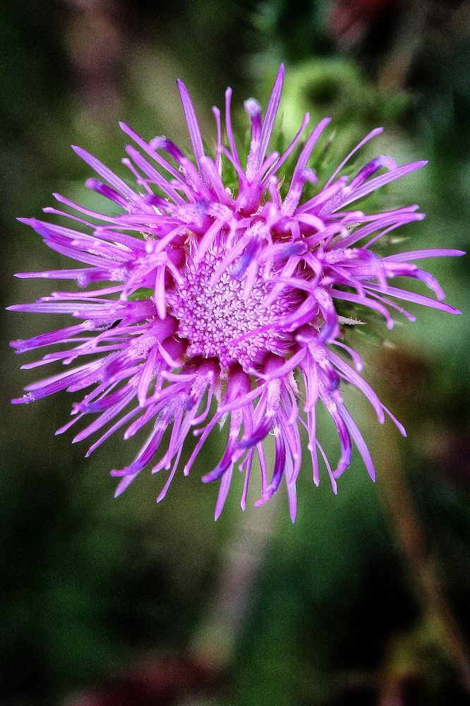 Photograph by Vitaliy Saposhnikov