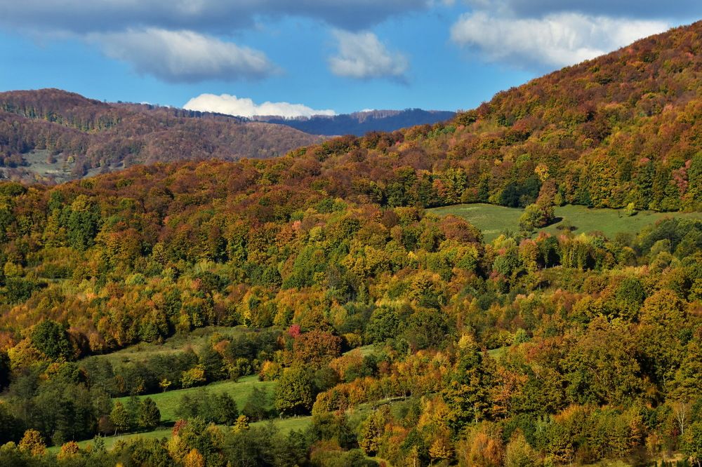 Фотография автора Marius Forgaciu