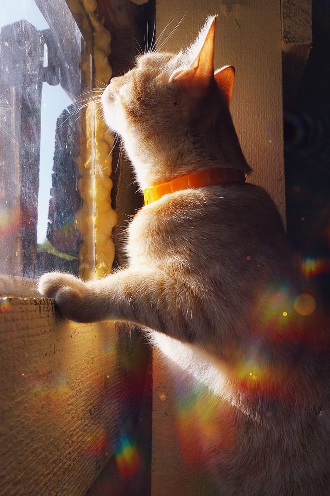 Photograph by Олена Лукашевич