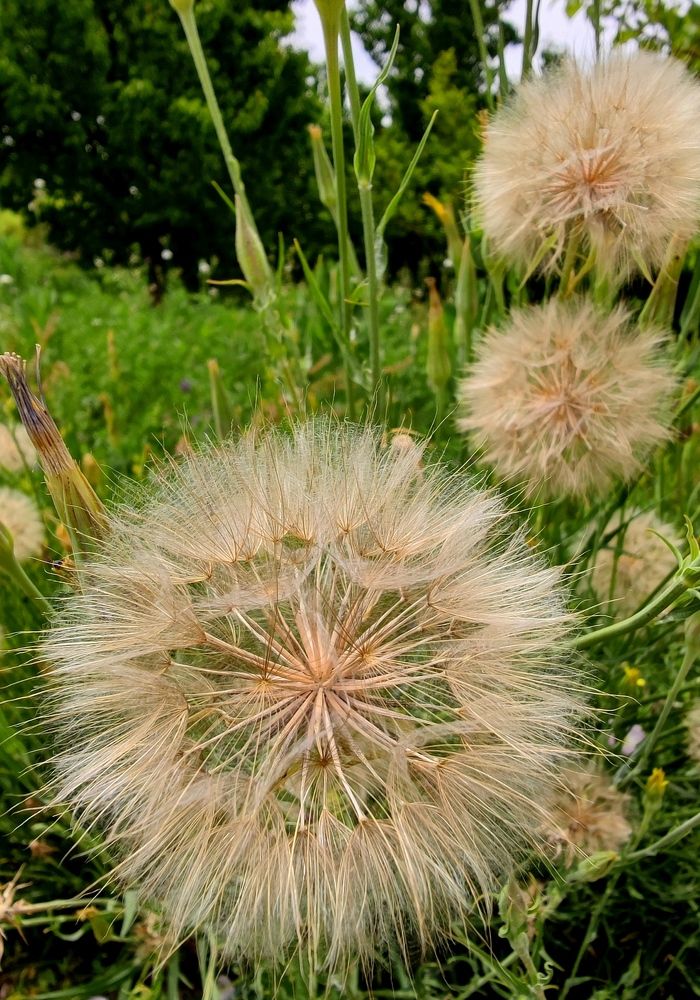 Photograph by Kamran Shirani