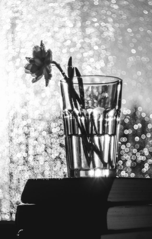 Photograph by Андрей Хаймин