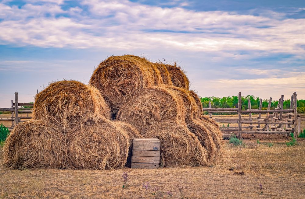 Photograph by Роман Вайдов
