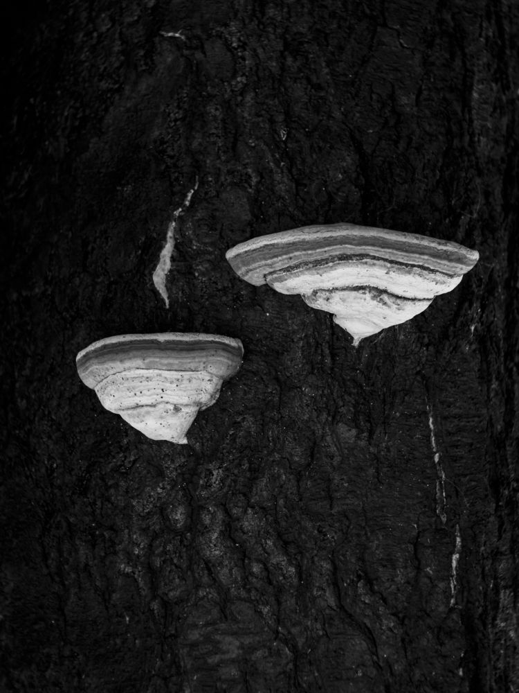 Photograph by Андрей Хаймин